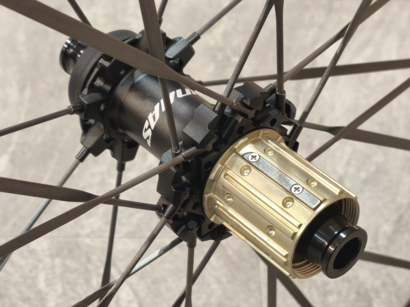 IMG_20250726_155944_copy_1638x1228