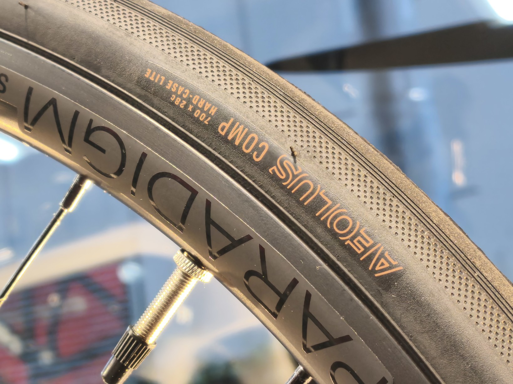 IMG_20250727_173257_copy_1638x1228