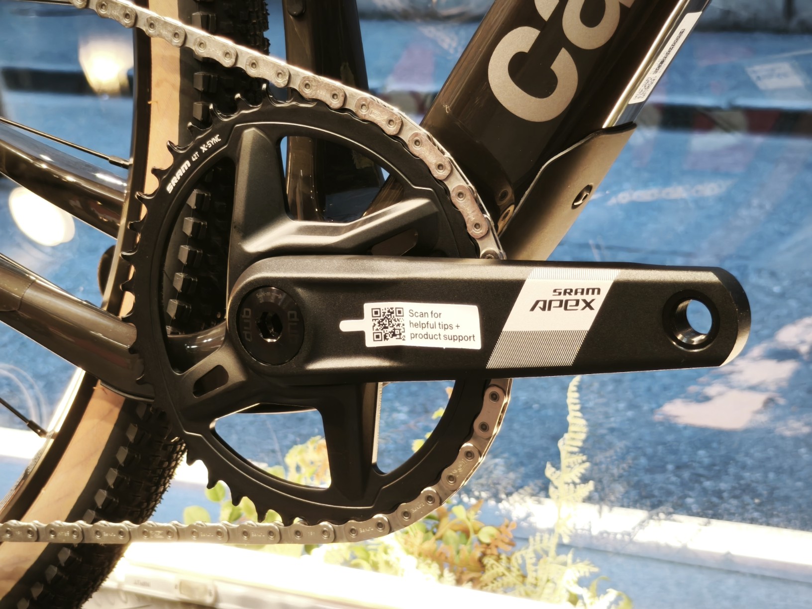 IMG_20250729_151825_copy_1632x1224