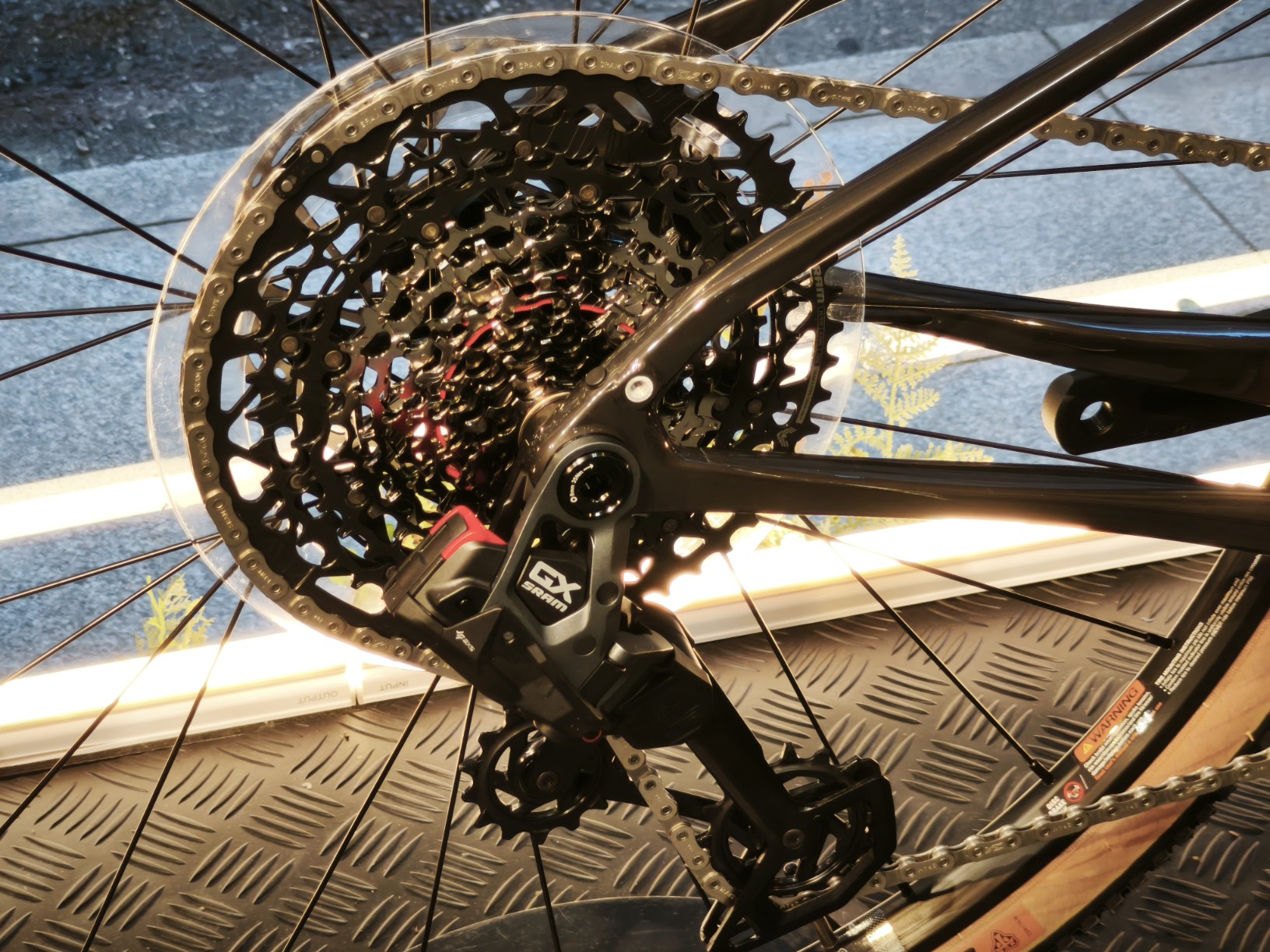 IMG_20250729_151836_copy_1632x1224