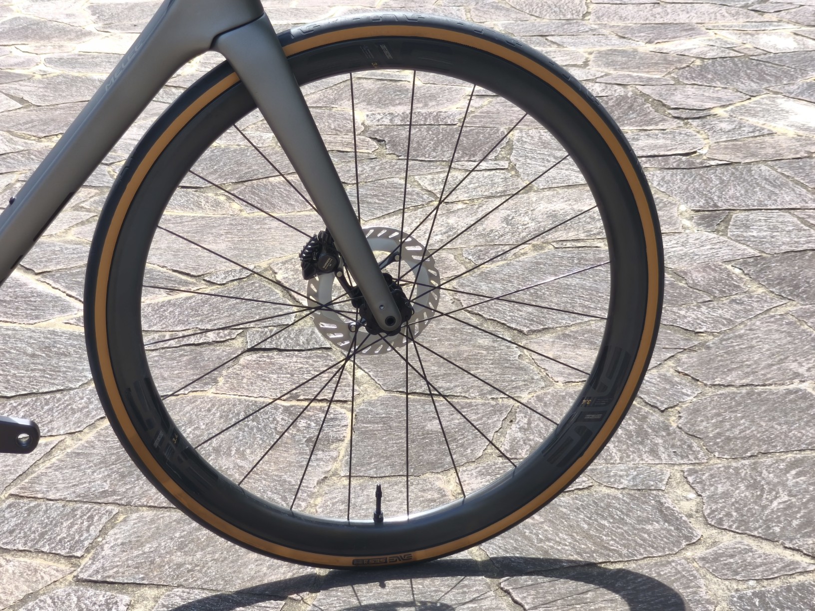 IMG_20250727_100828_copy_1632x1224