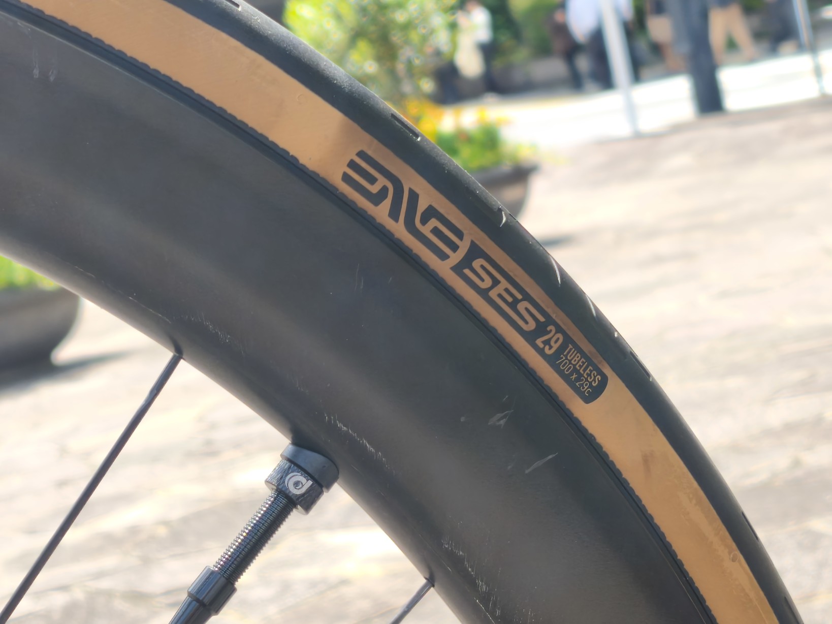 IMG_20250727_100931_copy_1638x1228