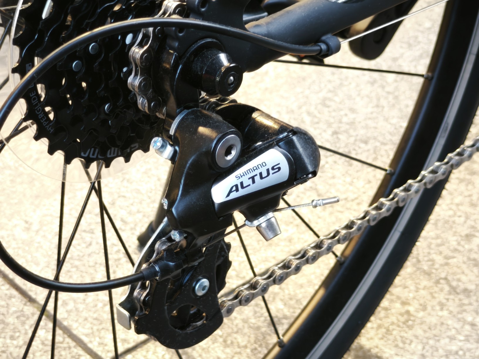 IMG_20250814_174223_copy_1632x1224