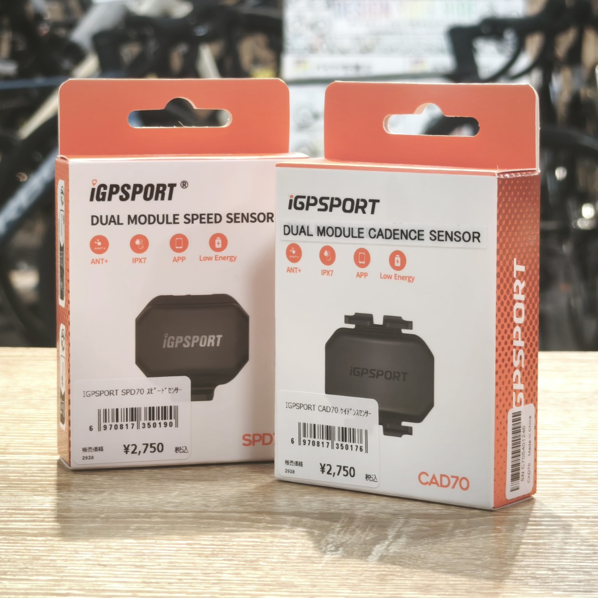 IMG_20250831_155702_copy_1228x1228