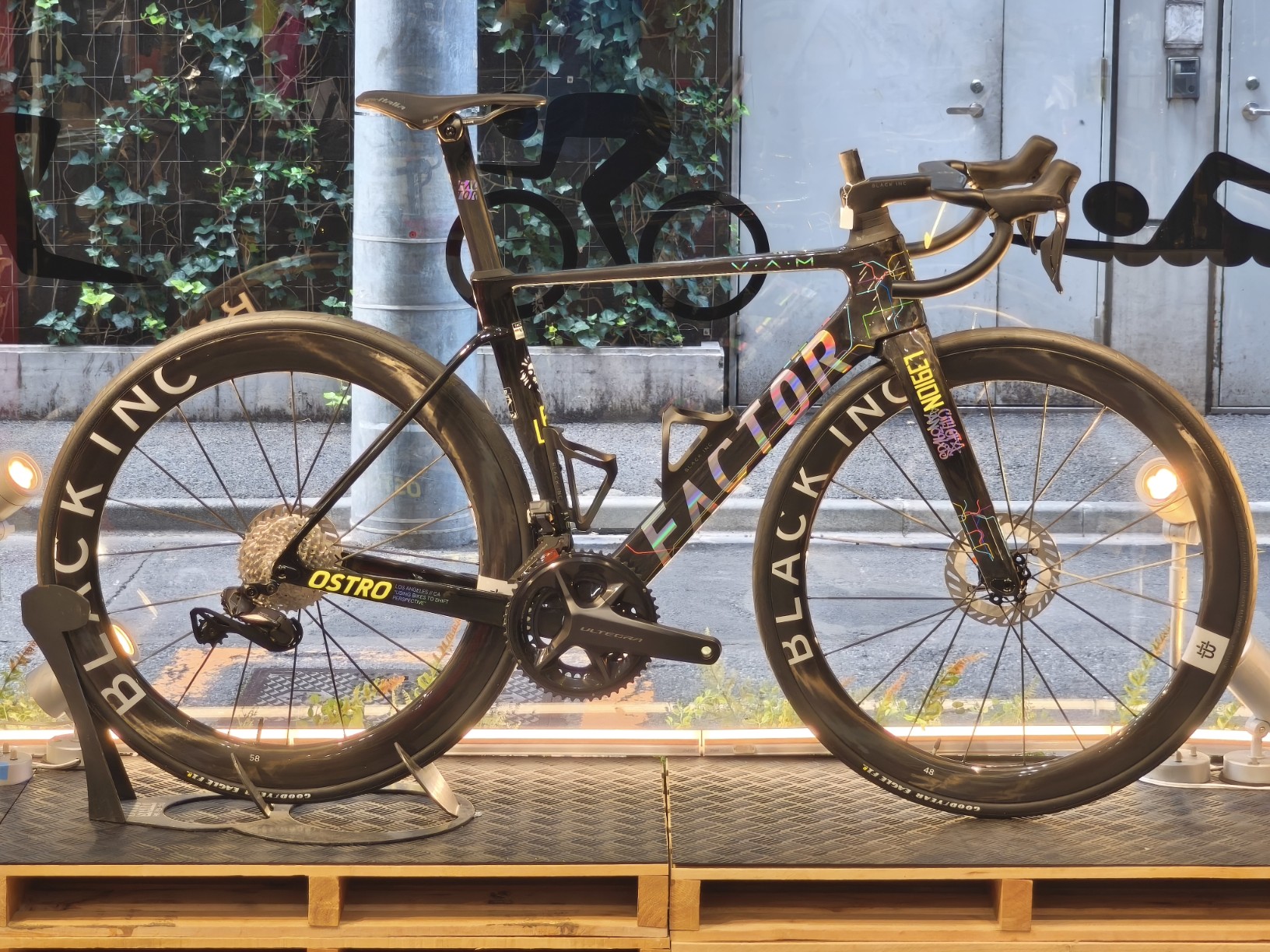 IMG_20251018_122003_copy_1632x1224