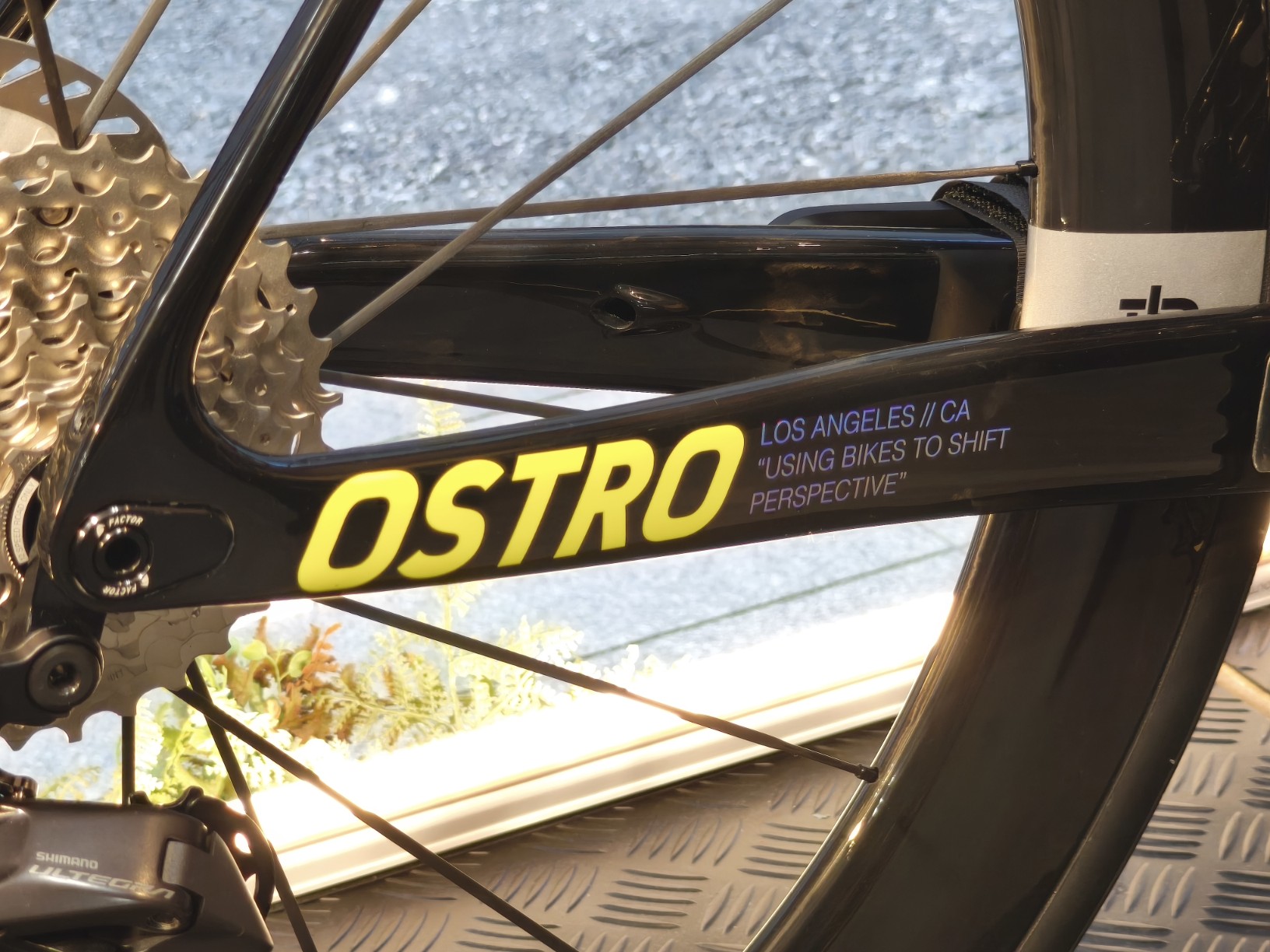 IMG_20251018_122328_copy_1632x1224