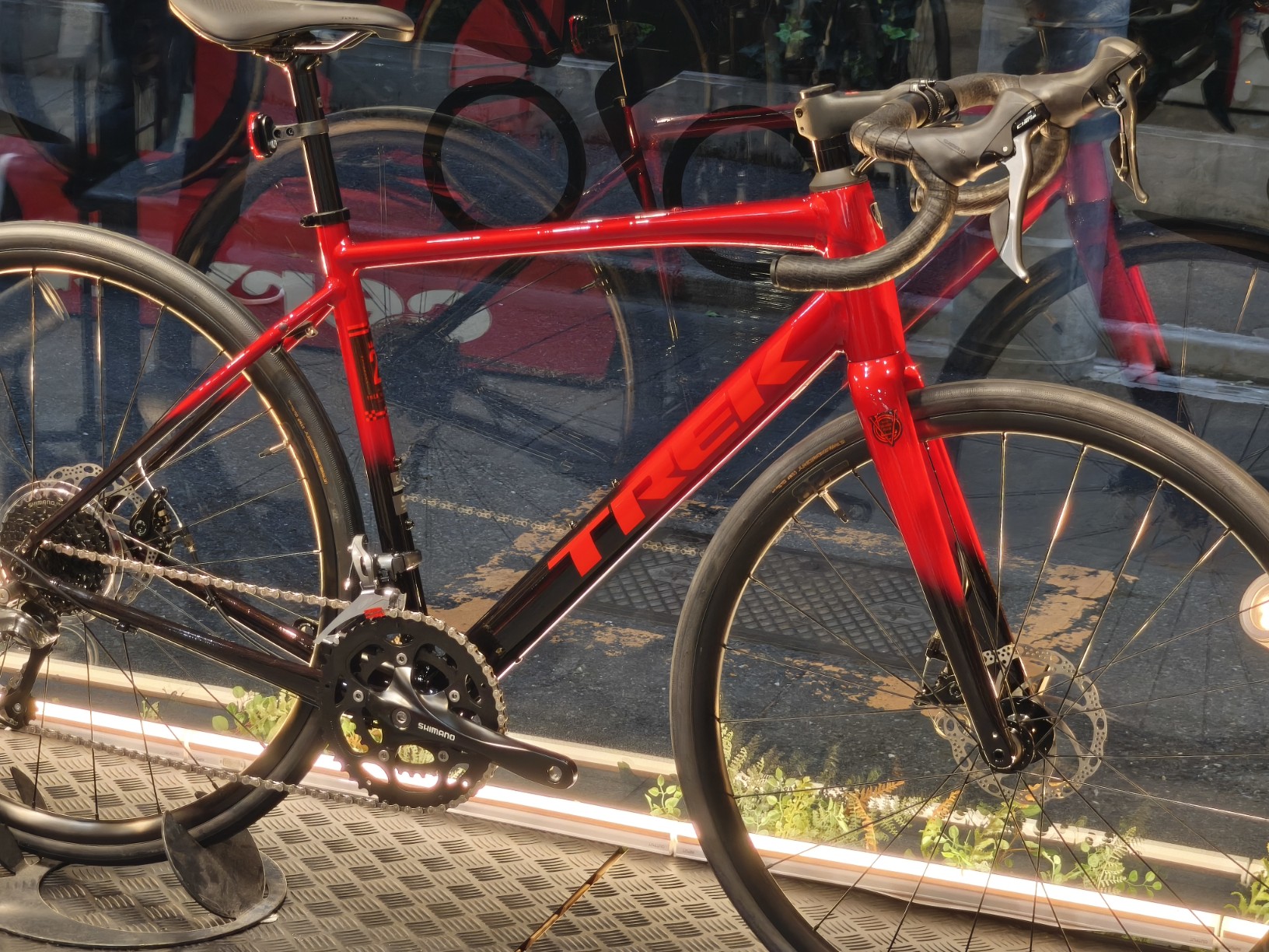 IMG_20251021_161047_copy_1632x1224