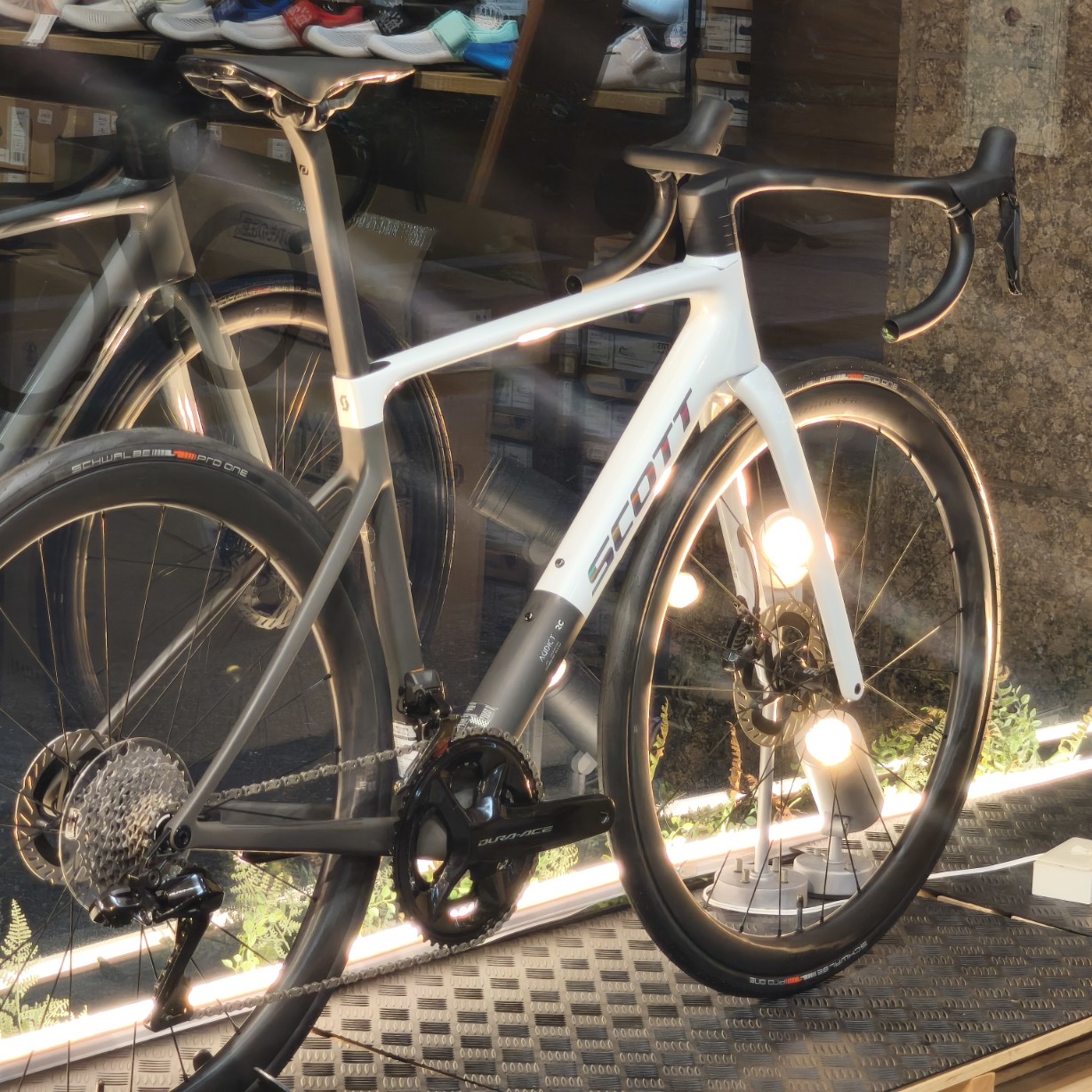 IMG_20251108_163547_copy_1228x1228