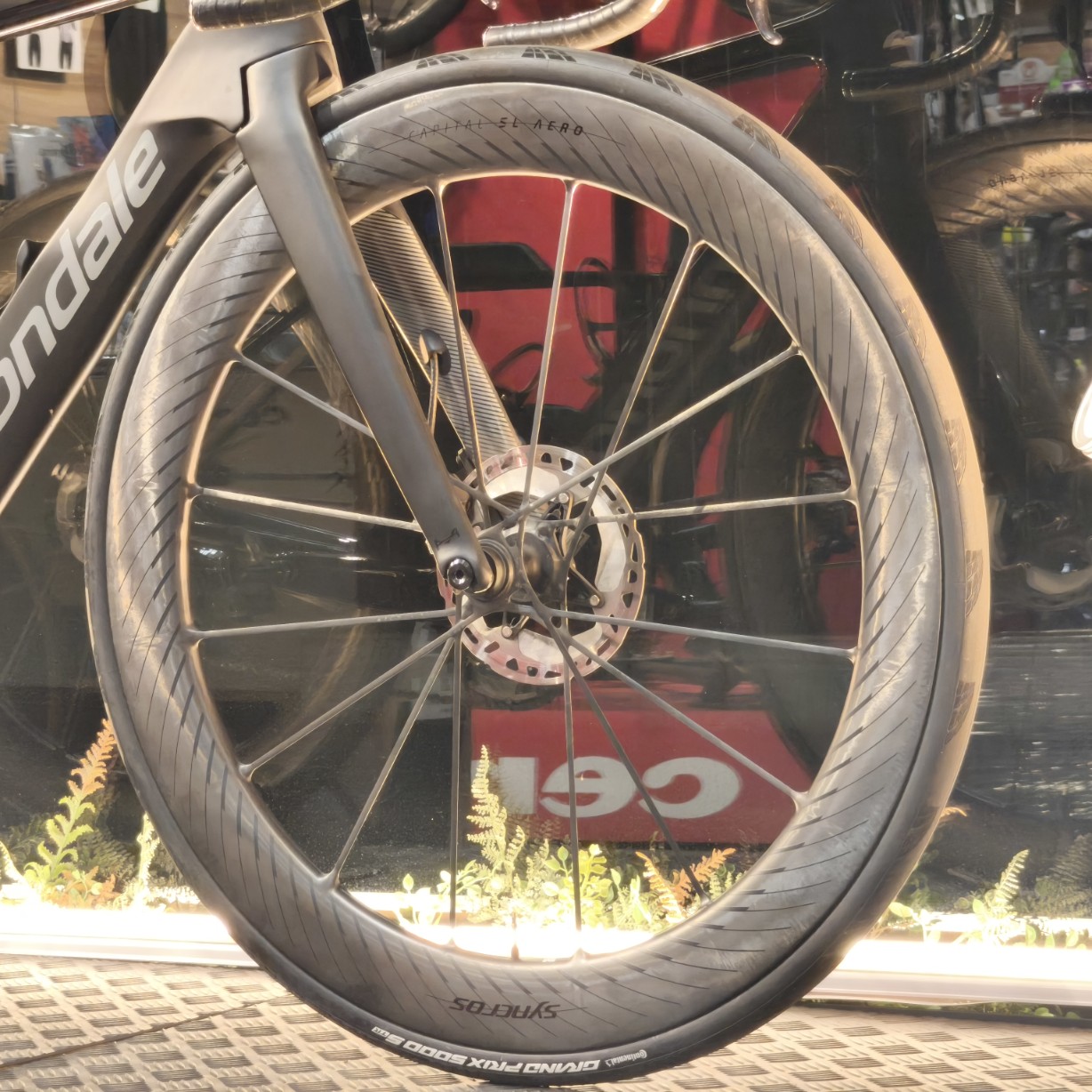 IMG_20251112_180245_copy_1228x1228