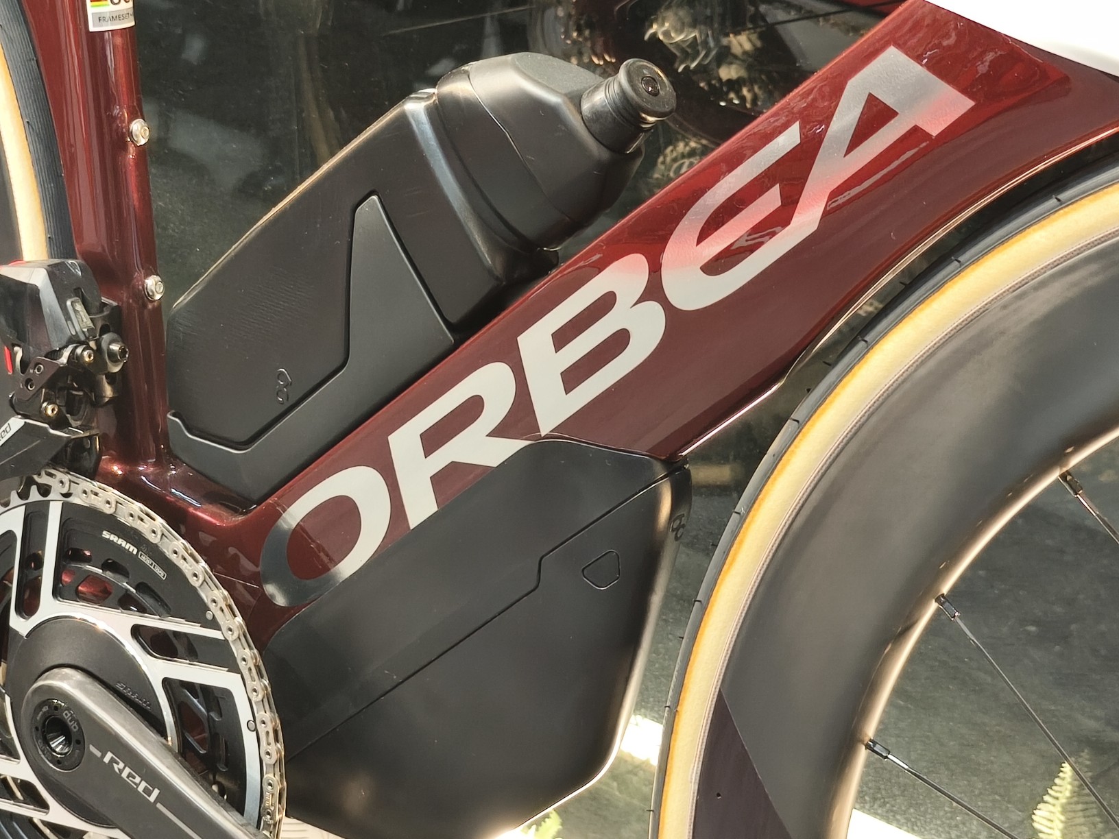 IMG_20251115_185631_copy_1632x1224