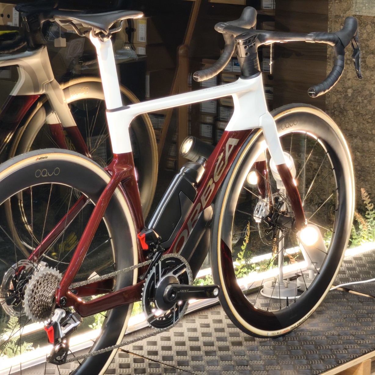 IMG_20251115_185856_copy_1228x1228