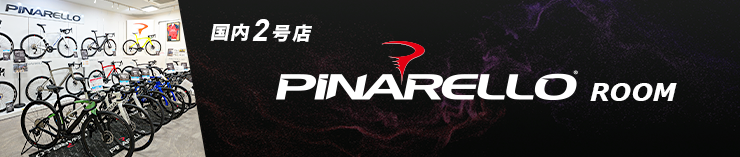 img_bnr_shimbashi-pina