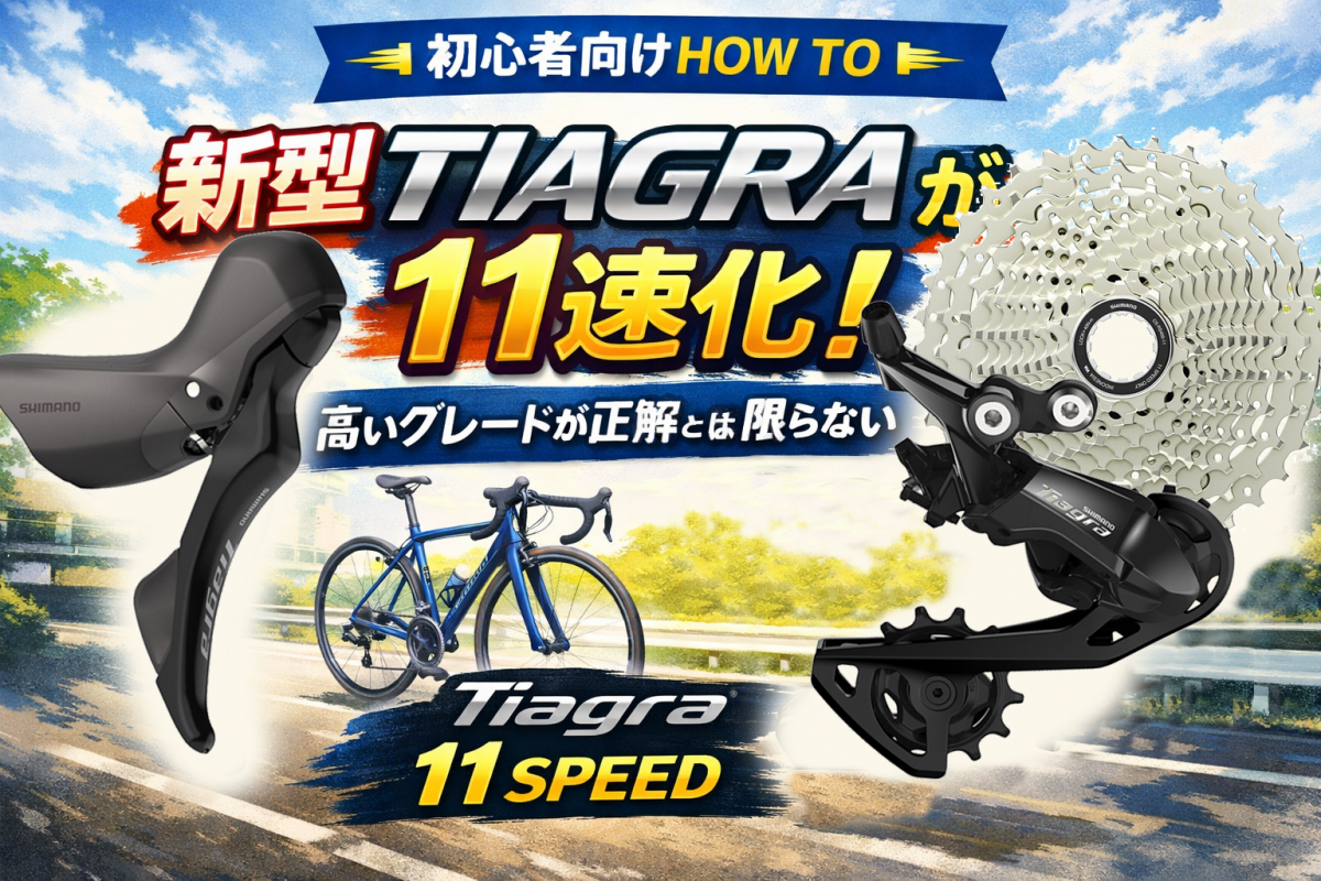 508fbcf1-264f-4b18-abfe-c1e972005e01