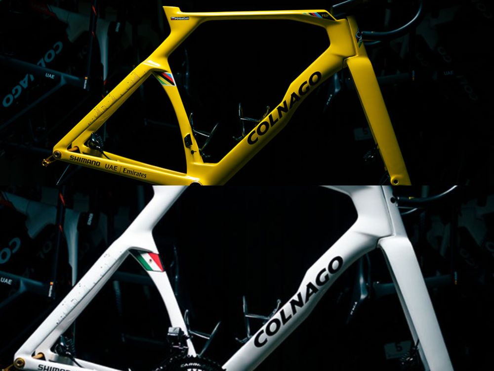 y1rs_限定2026