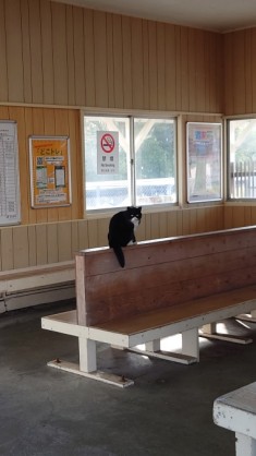 保田駅