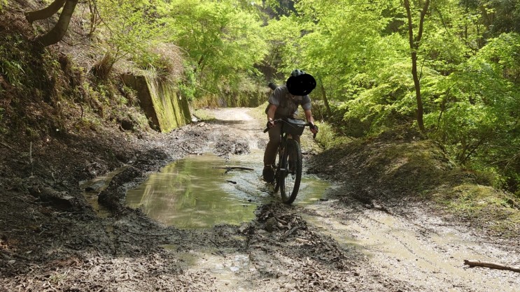 林道山中線