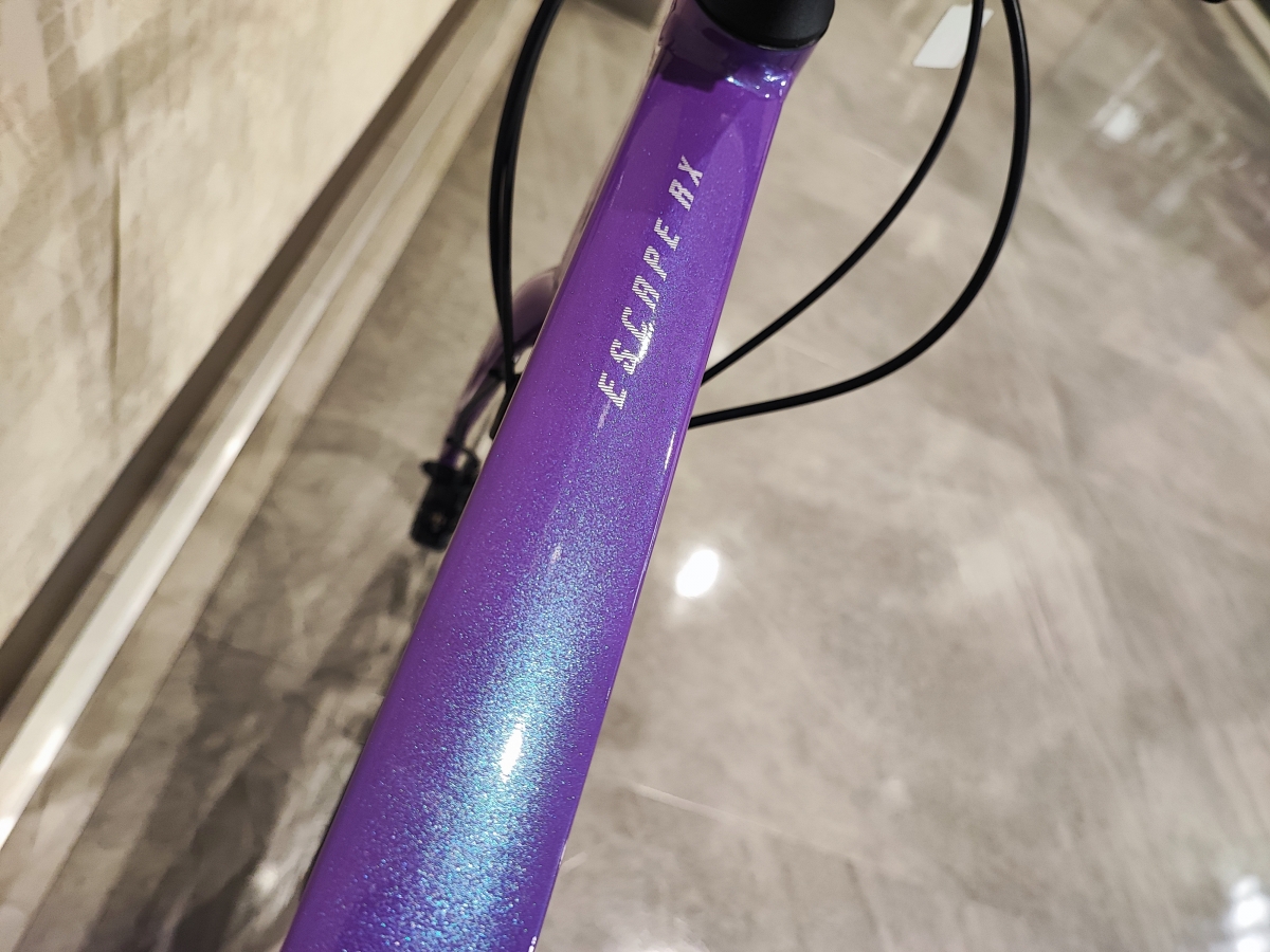 GIANT】個性的なカラーのバイクに乗ろう！光に当たると青く発色する