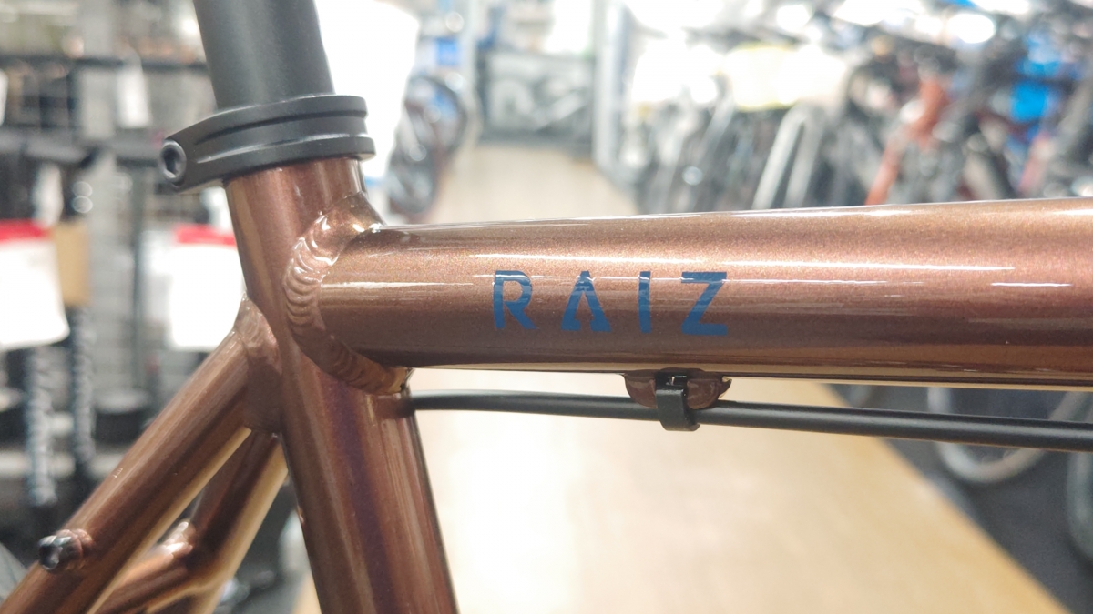 FUJI RAIZ DISC (3)
