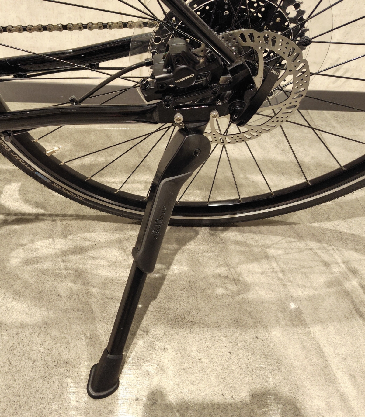 MARIN 25 MUIRWOODS 29