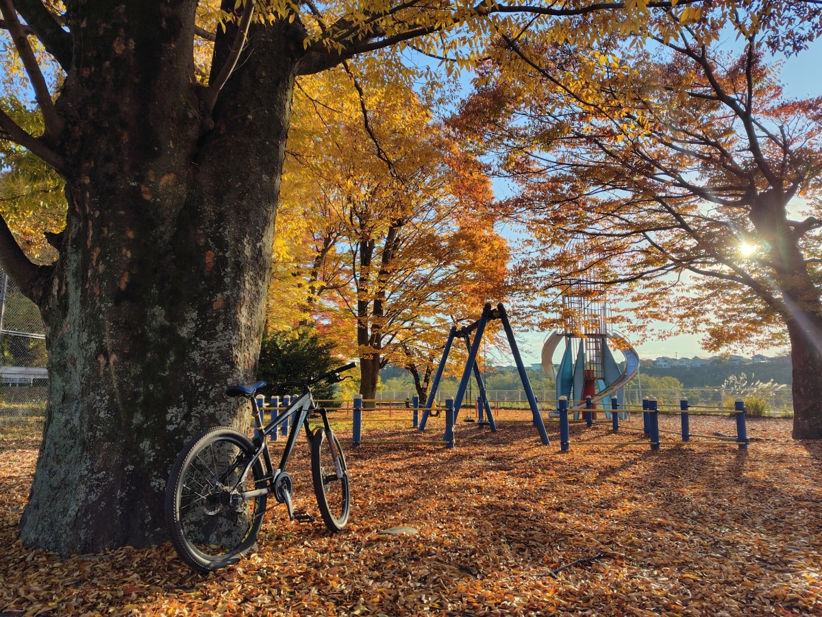 IMG_20251119_170730[1]