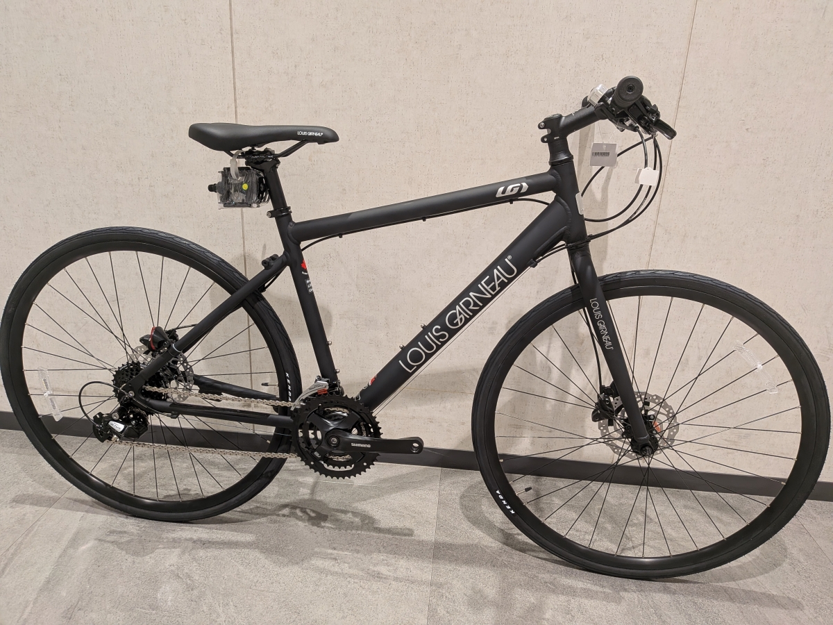 ルイガノSETTER9 (2)