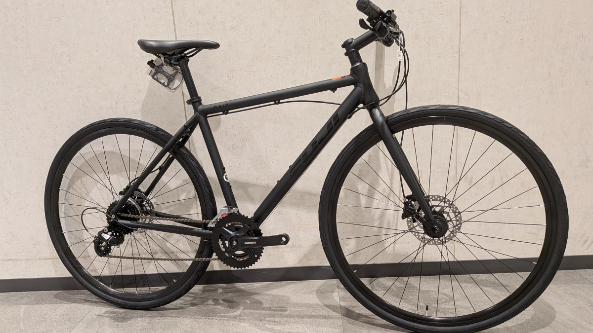 FUJI RAIZ DISC (3)