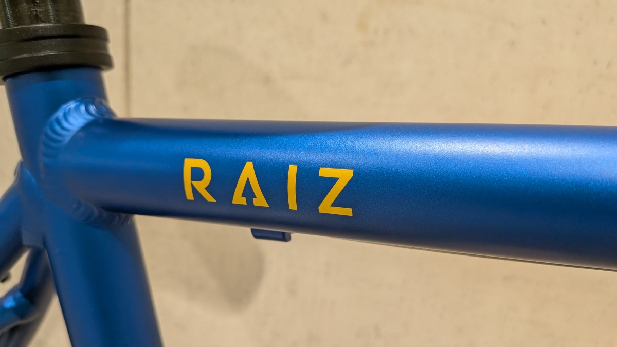 RAIZ NVY (2)