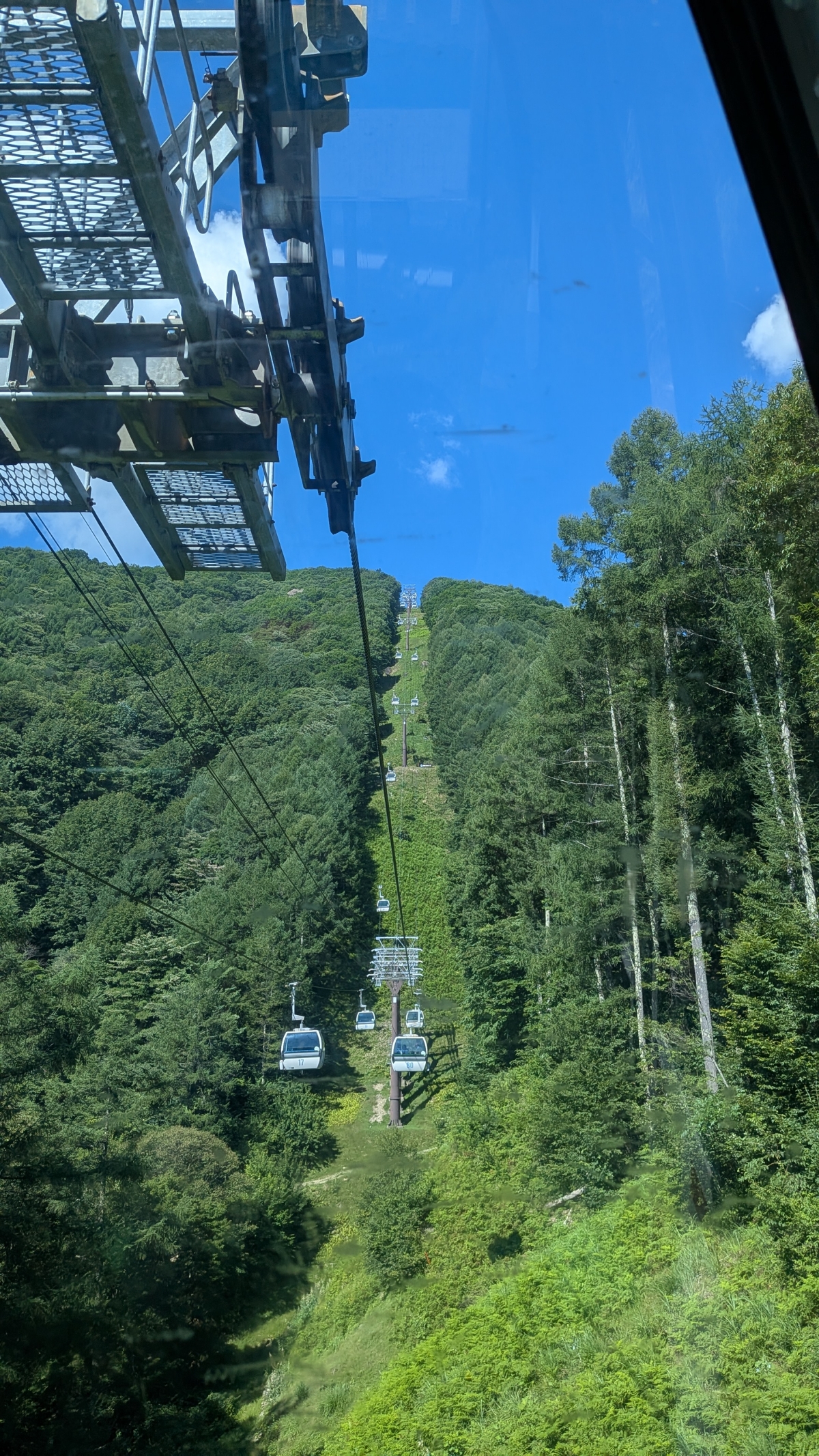 シマノバイカーズ ゴンドラ (1)