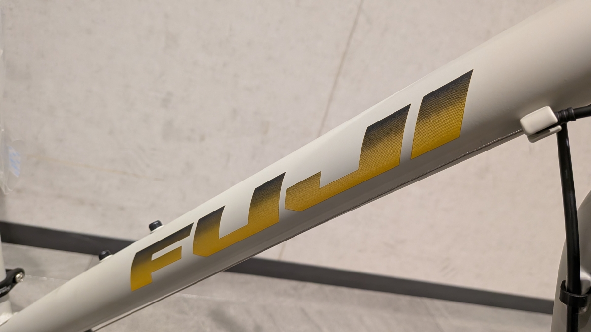 FUJI RAIZ DISC (1)