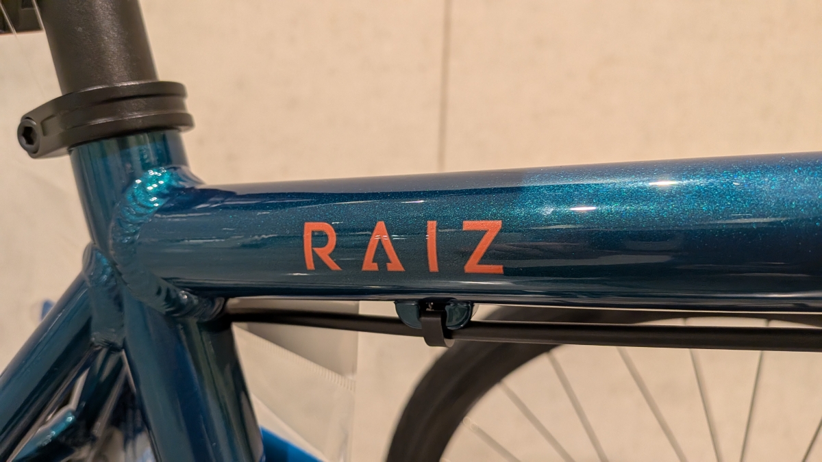 FUJI RAIZ DISC (3)