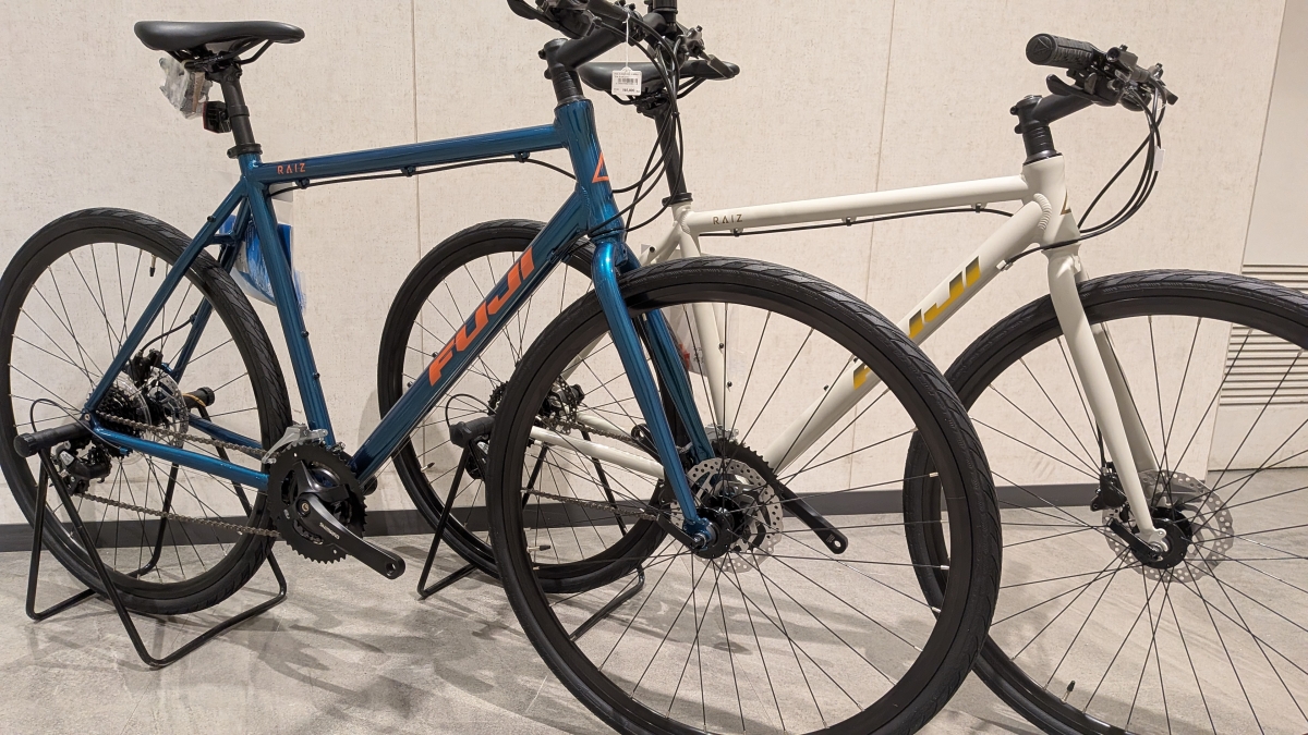 FUJI RAIZ DISC (4)