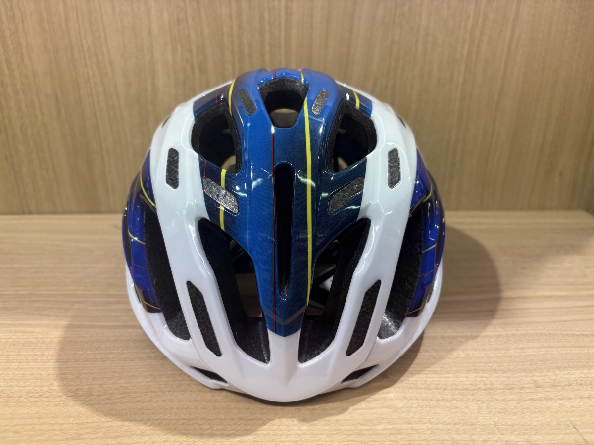 もうすぐジャパンカップ‼】チーム ソリューションテック ヴィーニ