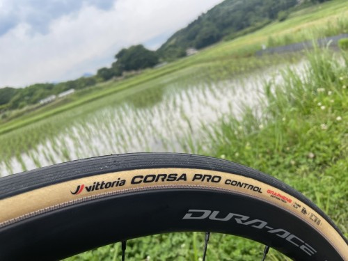 vittoria CORSA PRO CONTROL