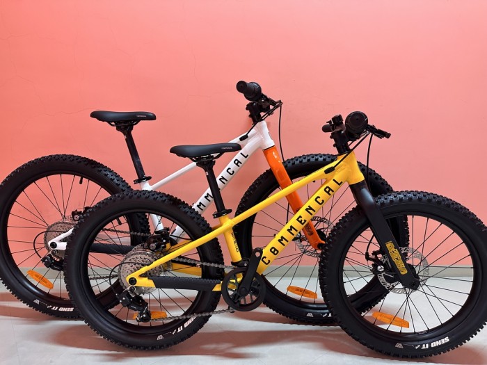 COMMENCAL　RMNS24　②