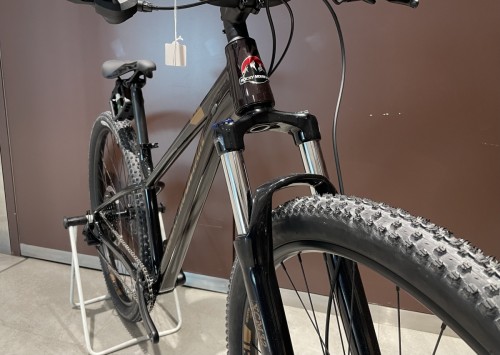 ROCKYMOUNTAIN Fusion 10