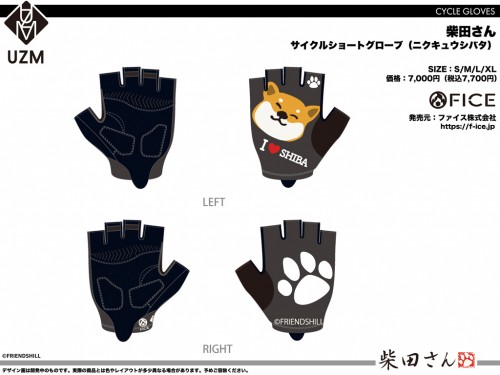 SBT_CW_03_CSG_UFCA-0062_ニクキュウシバタ