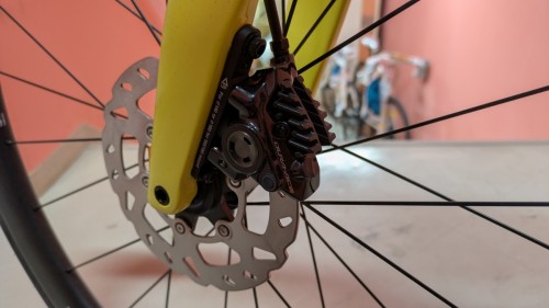 PXL_20250303_090329798