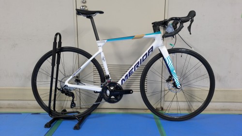 PXL_20250411_073919834