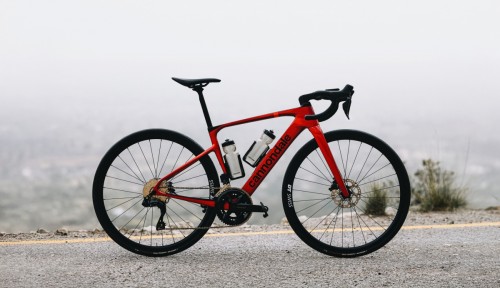 C25_Synapse_Mallorca_2735