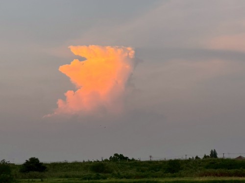 22F3C4D5-A88B-402B-96CD-3E2DE3F09F0D