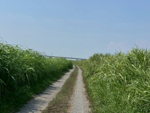 A2EB5766-123A-4CBA-85CC-21D0B030C938