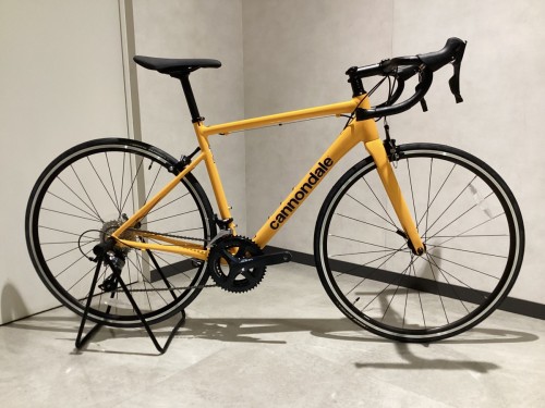 ロードバイク 初心者 初めて