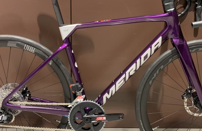 SCULTURA RIVAL-EDITION