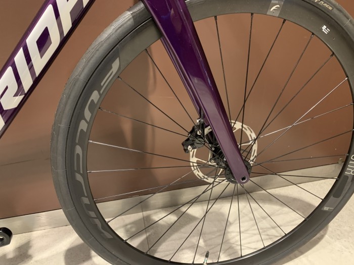 SCULTURA RIVAL-EDITION