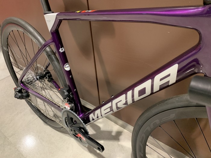 SCULTURA RIVAL-EDITION