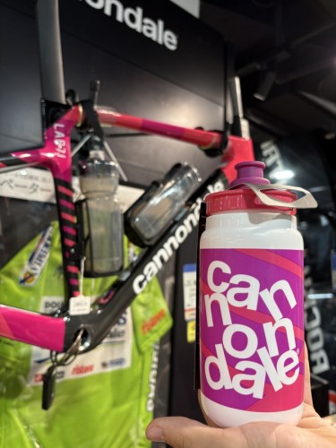 44AF3A07-D259-40AC-9DDA-3C080670F260