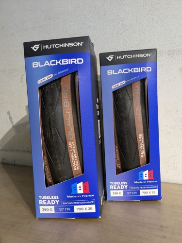 PXL_20250808_050425588.MP