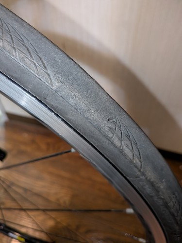 PXL_20251018_130551547