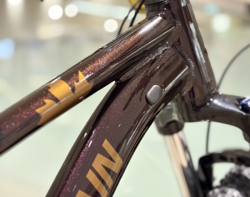 ROCKYMOUNTAIN FUSION 10