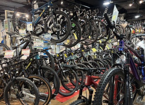 ROCKYMOUNTAIN FUSION 10